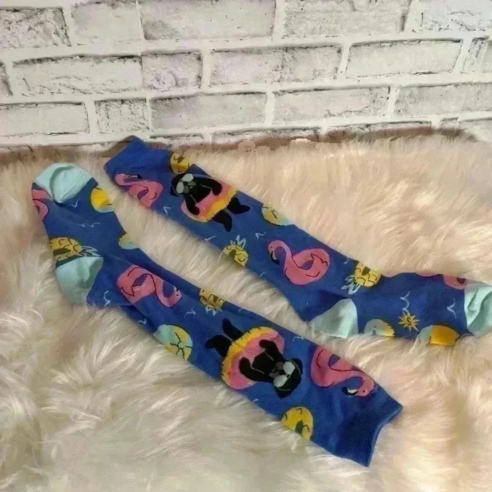 Dog‎ socks floating in pool with floatie pink flamingo float